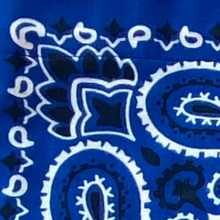 Carica l'immagine nel visualizzatore di Gallery, Gonna - Bandana