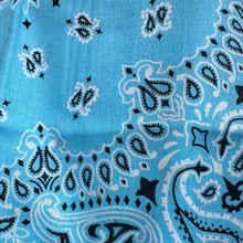 Carica l'immagine nel visualizzatore di Gallery, Gonna - Bandana